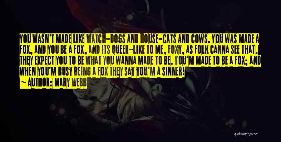 Watch Dogs Quotes By Mary Webb