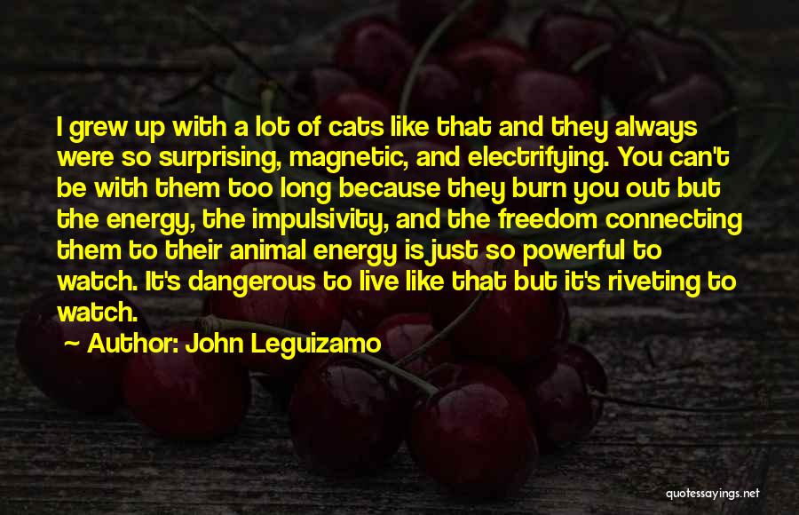 Watch It Burn Quotes By John Leguizamo