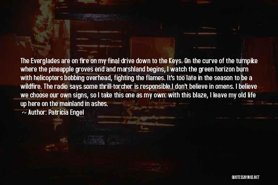 Watch It Burn Quotes By Patricia Engel