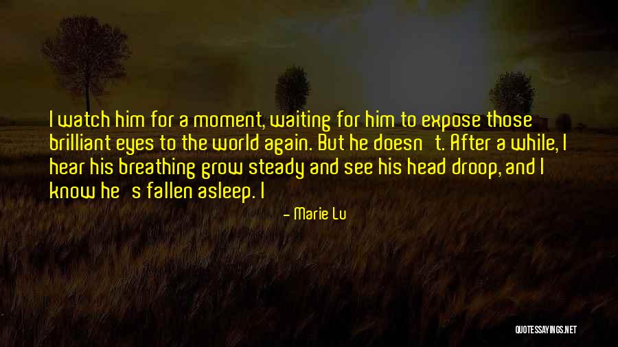 Watch Me Grow Quotes By Marie Lu