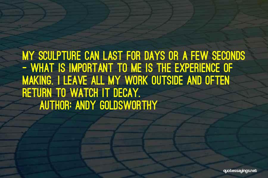 Watch Me Leave Quotes By Andy Goldsworthy