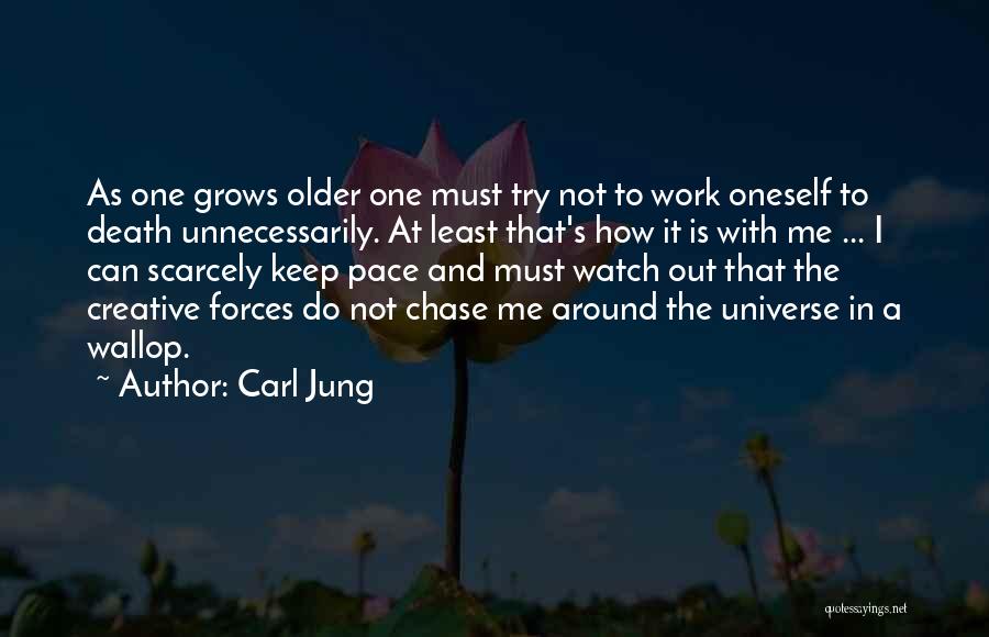 Watch Me Work Quotes By Carl Jung