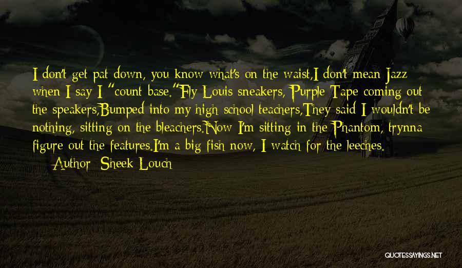 Watch Out Now Quotes By Sheek Louch