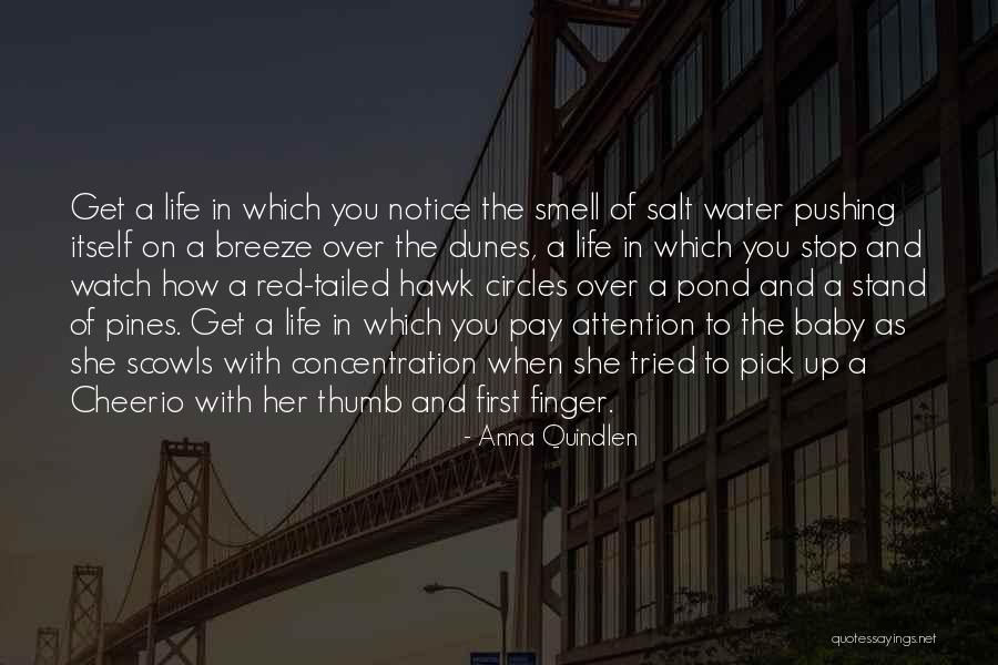 Watch Over My Baby Quotes By Anna Quindlen Watch Over My Baby Quotes By Anna Quindlen