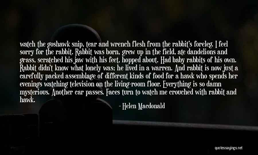 Watch Over My Baby Quotes By Helen Macdonald Watch Over My Baby Quotes By Helen Macdonald