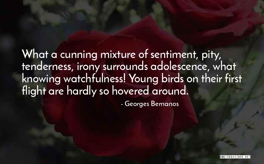 Watchfulness Quotes By Georges Bernanos Watchfulness Quotes By Georges Bernanos