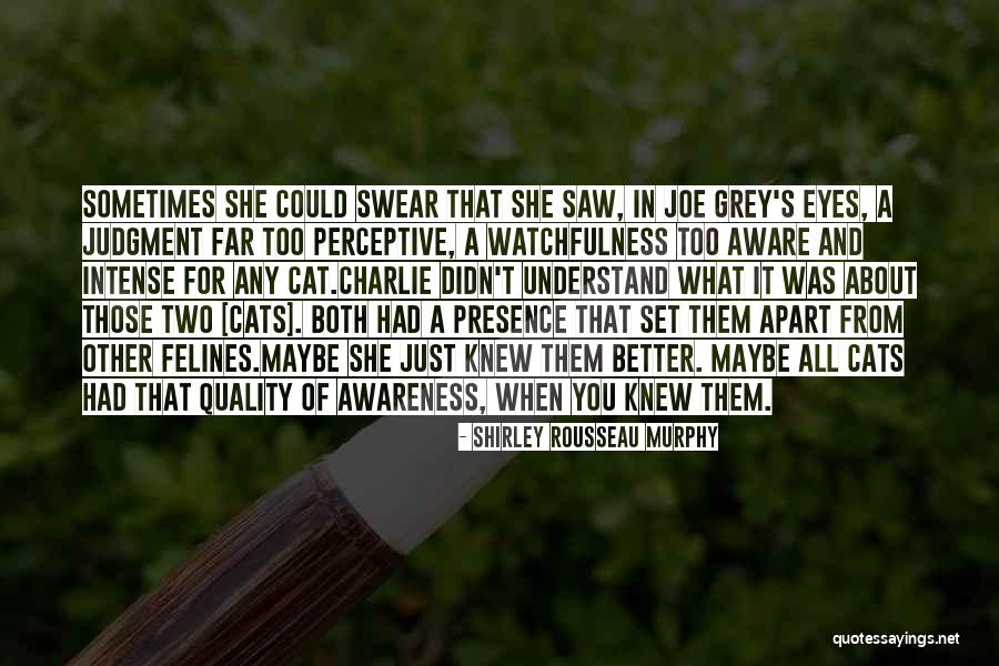 Watchfulness Quotes By Shirley Rousseau Murphy Watchfulness Quotes By Shirley Rousseau Murphy