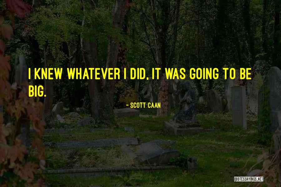 Watching And Noticing Quotes By Scott Caan Watching And Noticing Quotes By Scott Caan