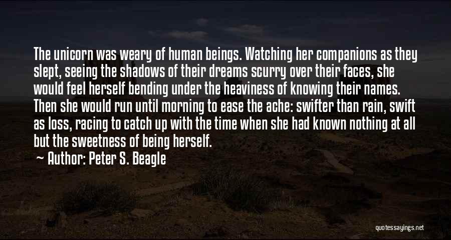 Watching Rain Quotes By Peter S. Beagle