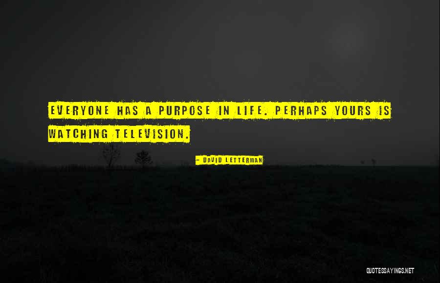 Watching Television Quotes By David Letterman