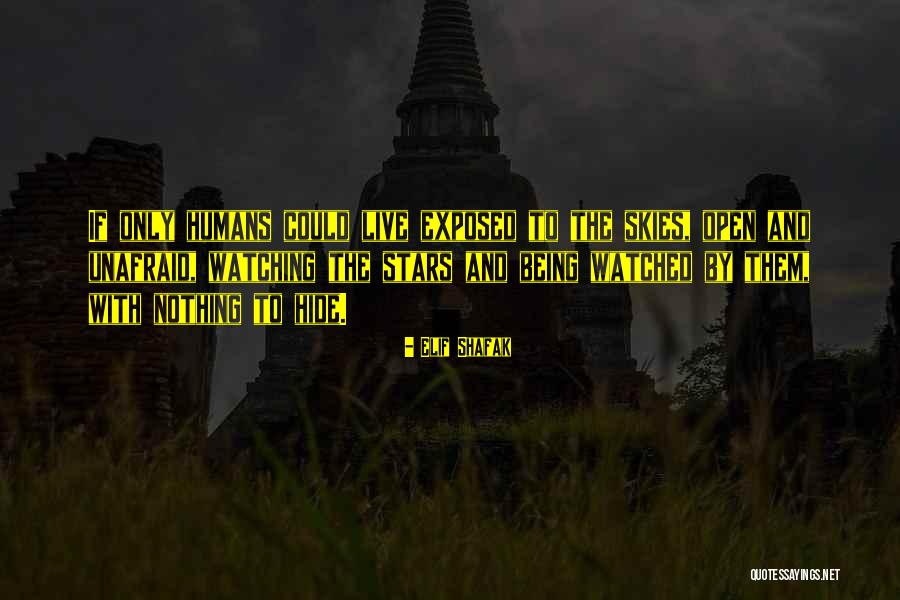 Watching The Stars Quotes By Elif Shafak Watching The Stars Quotes By Elif Shafak