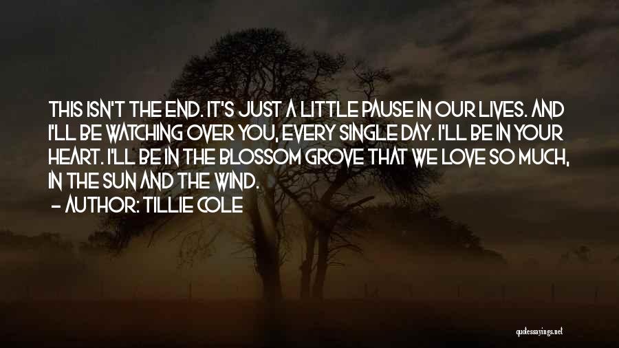 Watching The Sun Come Up Quotes By Tillie Cole