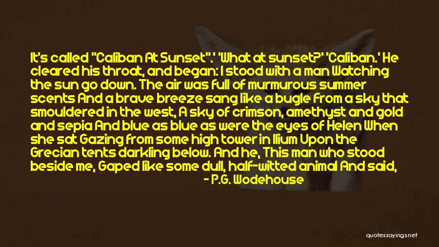 Watching The Sunset Quotes By P.G. Wodehouse Watching The Sunset Quotes By P.G. Wodehouse