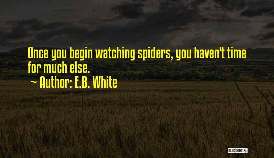 Watching Time Go By Quotes By E.B. White