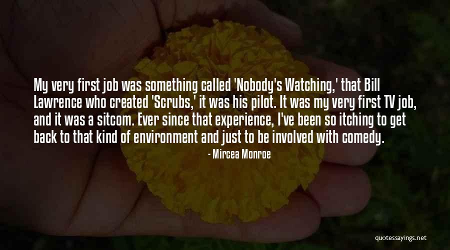 Watching Too Much Tv Quotes By Mircea Monroe Watching Too Much Tv Quotes By Mircea Monroe