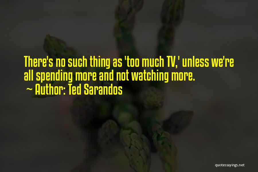 Watching Too Much Tv Quotes By Ted Sarandos