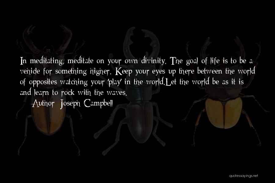 Watching Waves Quotes By Joseph Campbell