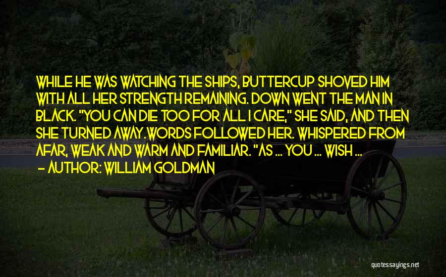 Watching You From Afar Quotes By William Goldman