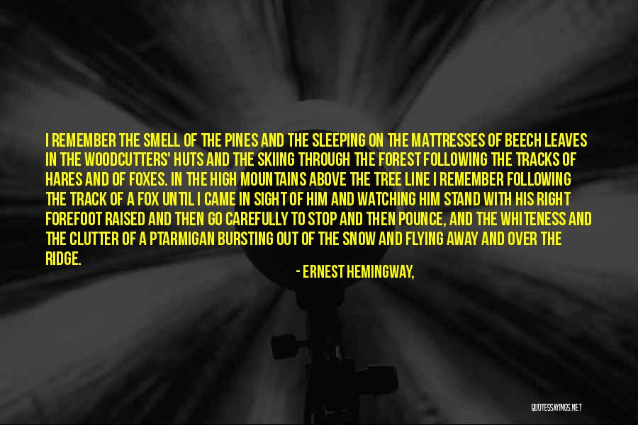 Watching You While Sleeping Quotes By Ernest Hemingway,