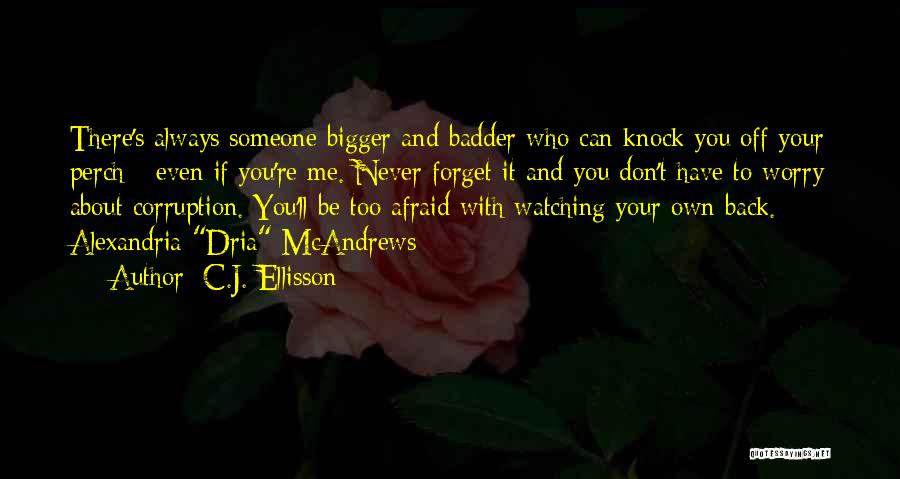 Watching Your Own Back Quotes By C.J. Ellisson