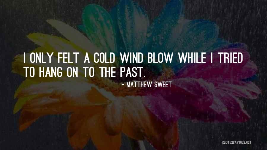 Watchwords Trinidad Quotes By Matthew Sweet Watchwords Trinidad Quotes By Matthew Sweet