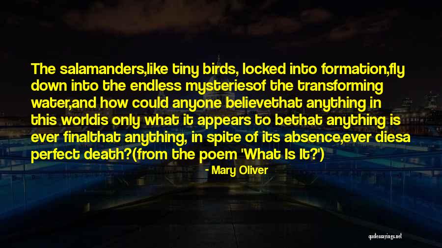 Water And Death Quotes By Mary Oliver Water And Death Quotes By Mary Oliver