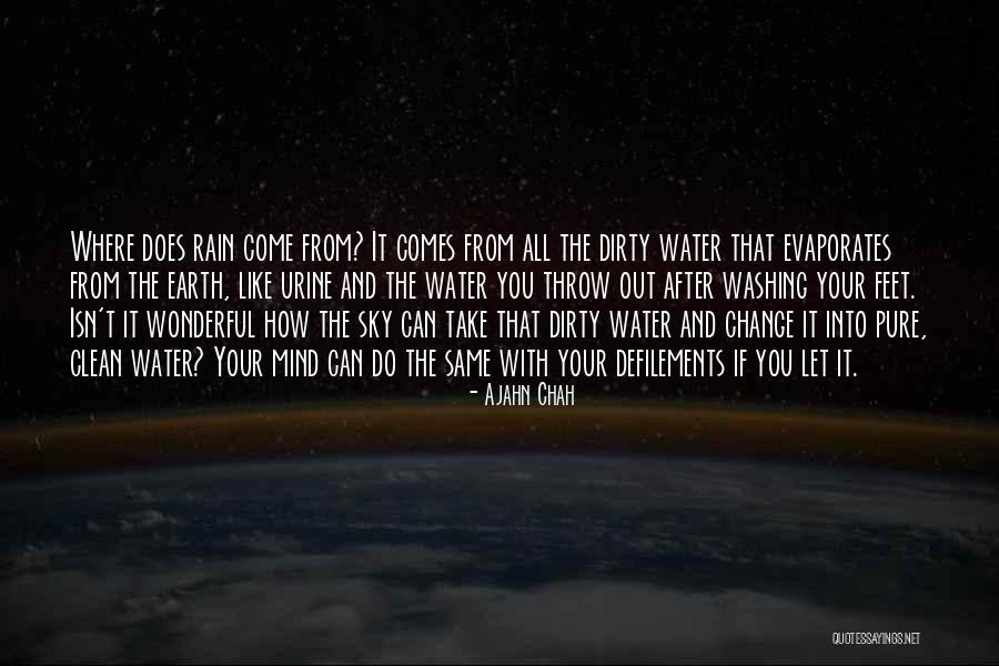 Water And Feet Quotes By Ajahn Chah