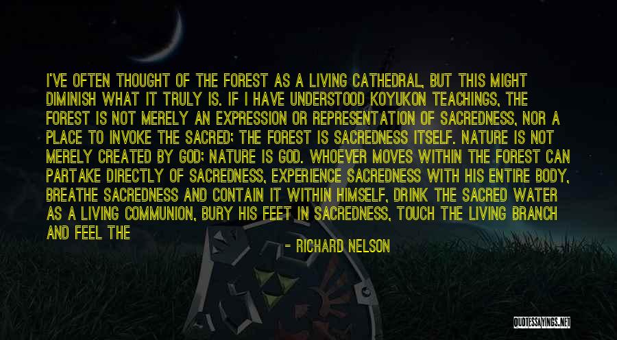 Water And Feet Quotes By Richard Nelson