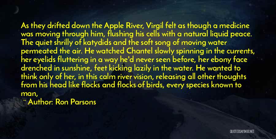 Water And Feet Quotes By Ron Parsons