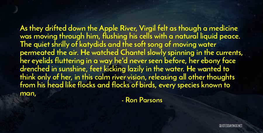 Water And Feet Quotes By Ron Parsons