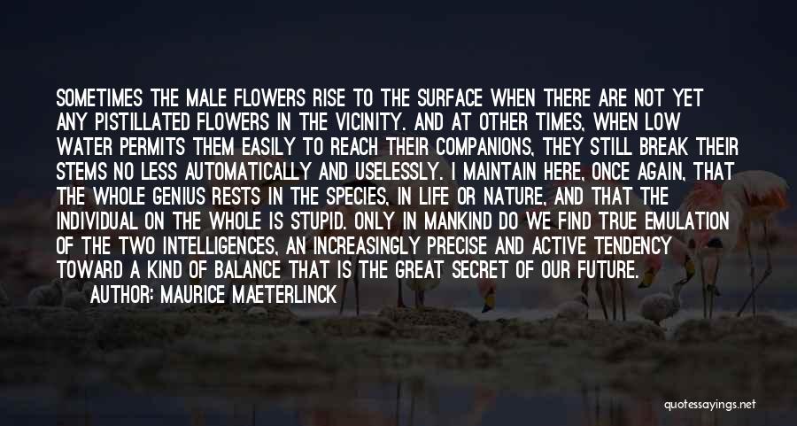 Water And Flowers Quotes By Maurice Maeterlinck