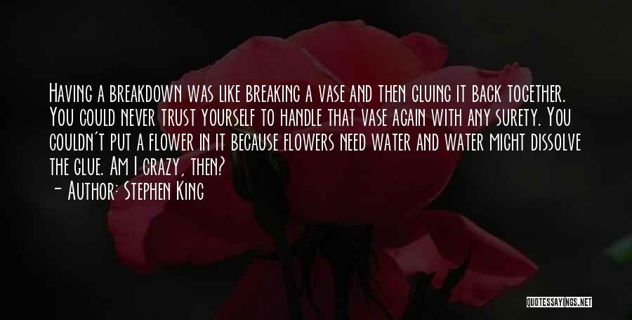 Water And Flowers Quotes By Stephen King