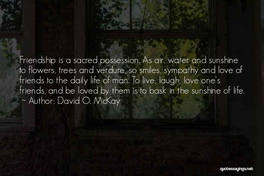 Water And Friendship Quotes By David O. McKay