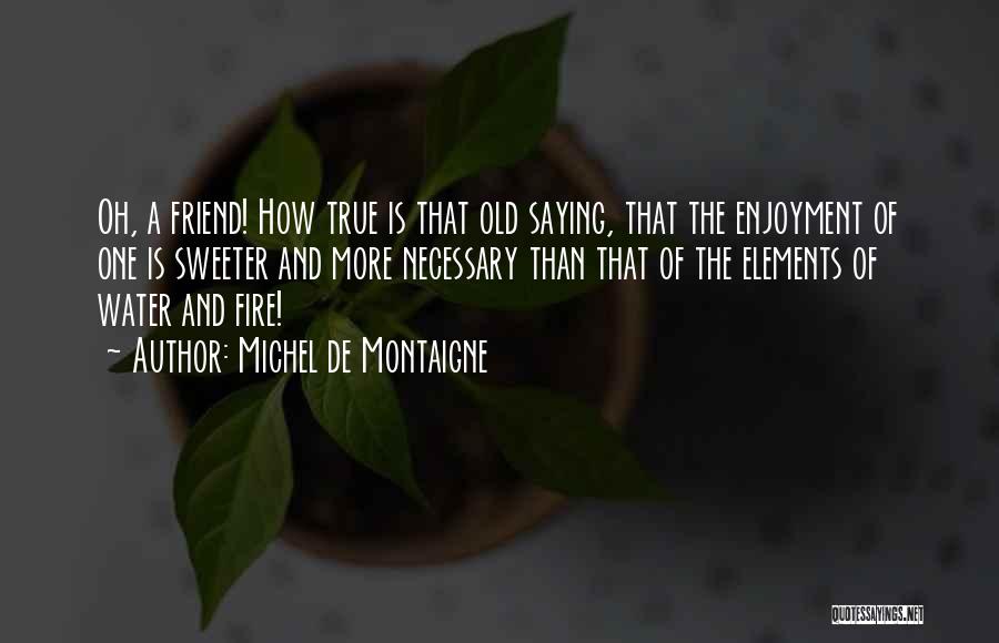 Water And Friendship Quotes By Michel De Montaigne