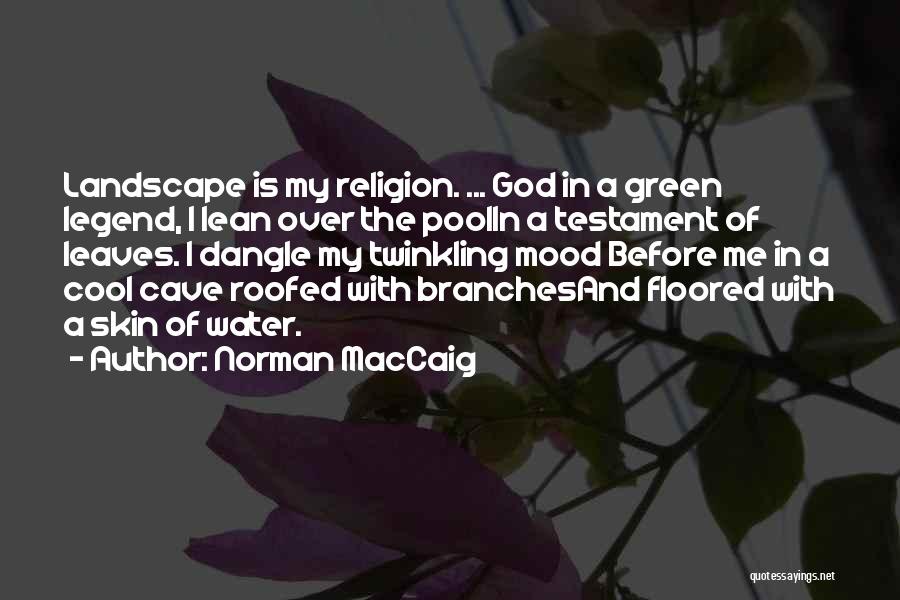 Water And God Quotes By Norman MacCaig