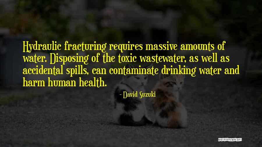 Water And Health Quotes By David Suzuki