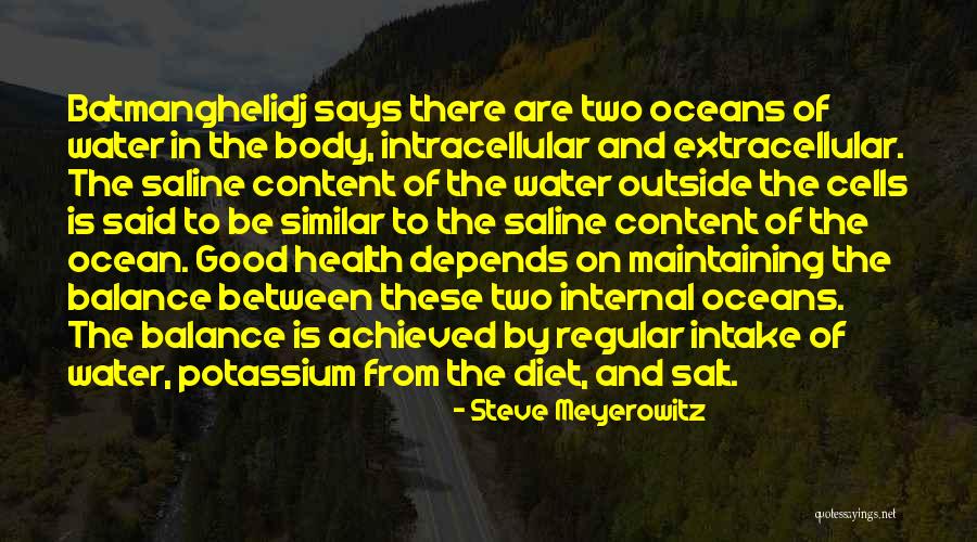 Water And Health Quotes By Steve Meyerowitz