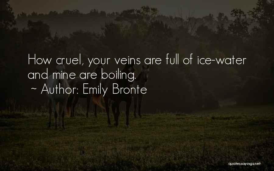 Water And Ice Quotes By Emily Bronte