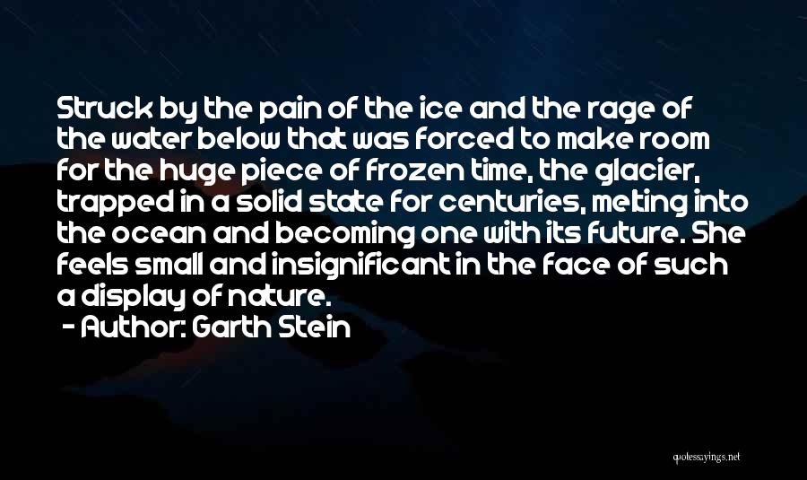 Water And Ice Quotes By Garth Stein