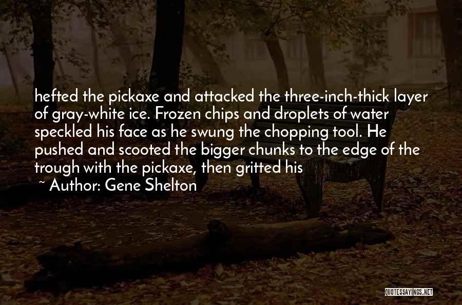 Water And Ice Quotes By Gene Shelton