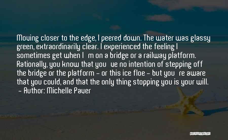 Water And Ice Quotes By Michelle Paver