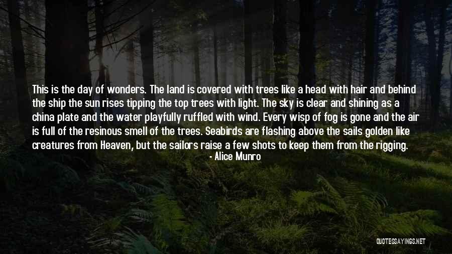 Water And Land Quotes By Alice Munro