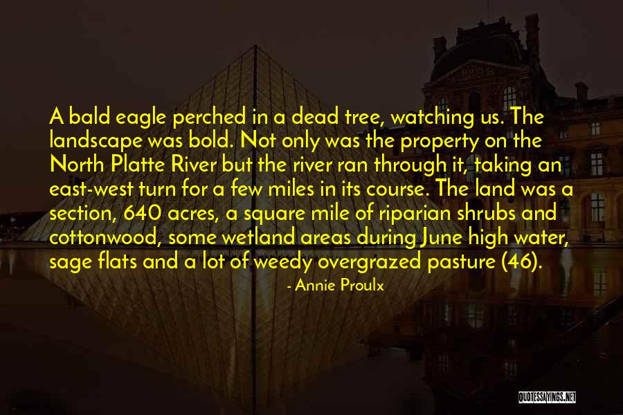 Water And Land Quotes By Annie Proulx Water And Land Quotes By Annie Proulx