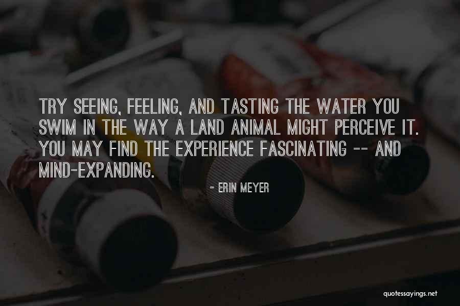 Water And Land Quotes By Erin Meyer