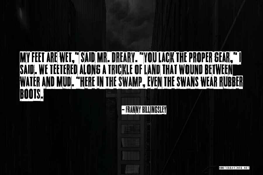Water And Land Quotes By Franny Billingsley Water And Land Quotes By Franny Billingsley