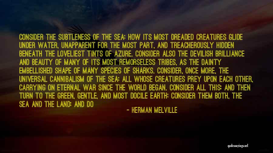 Water And Land Quotes By Herman Melville Water And Land Quotes By Herman Melville