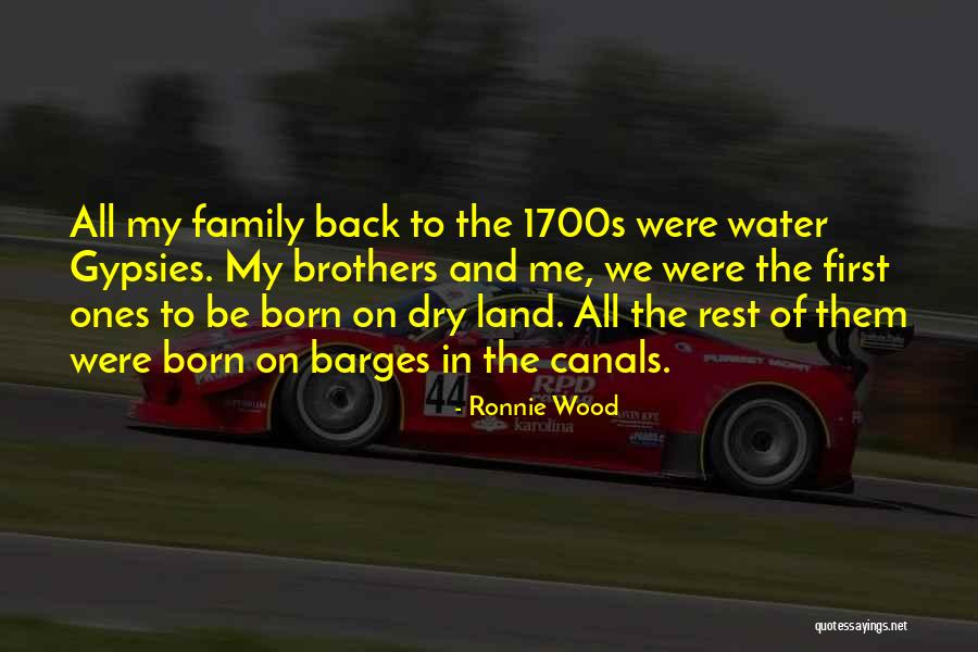 Water And Land Quotes By Ronnie Wood Water And Land Quotes By Ronnie Wood