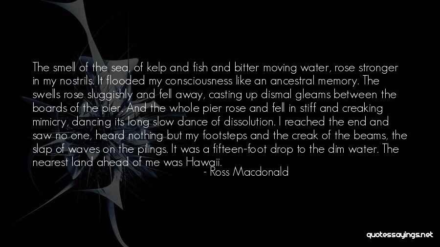 Water And Land Quotes By Ross Macdonald