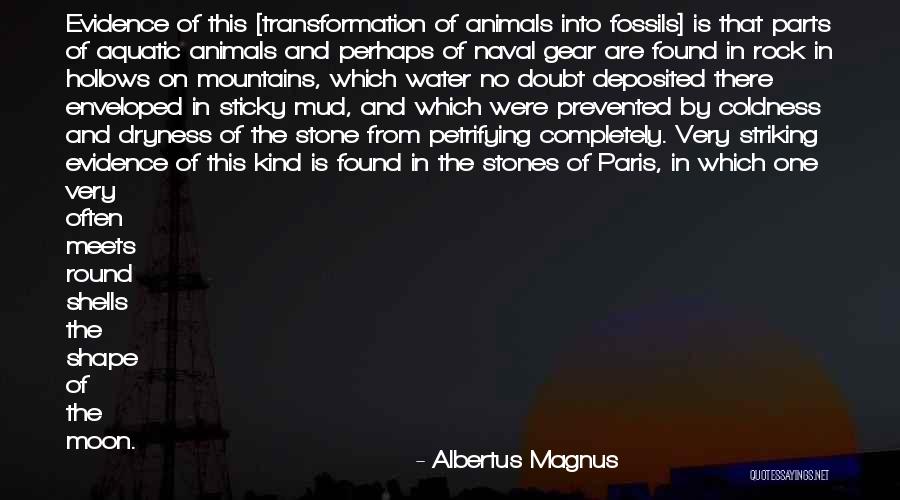 Water And Mountains Quotes By Albertus Magnus Water And Mountains Quotes By Albertus Magnus
