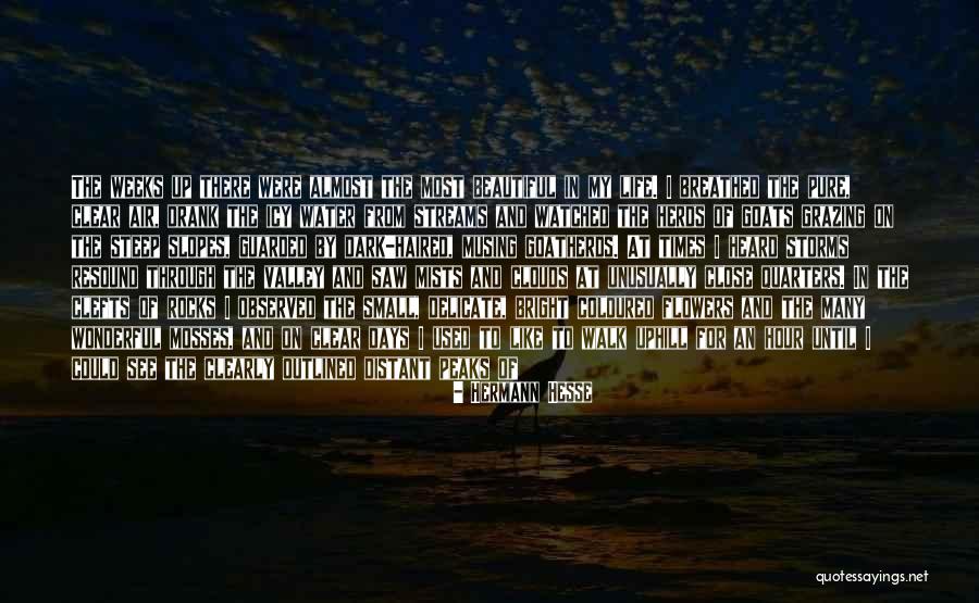 Water And Mountains Quotes By Hermann Hesse Water And Mountains Quotes By Hermann Hesse